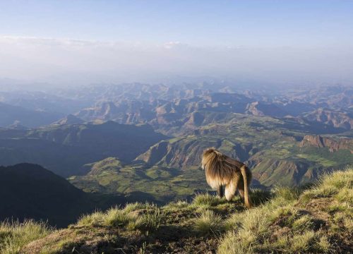 4-Day Simien Mountains Trekking Tour