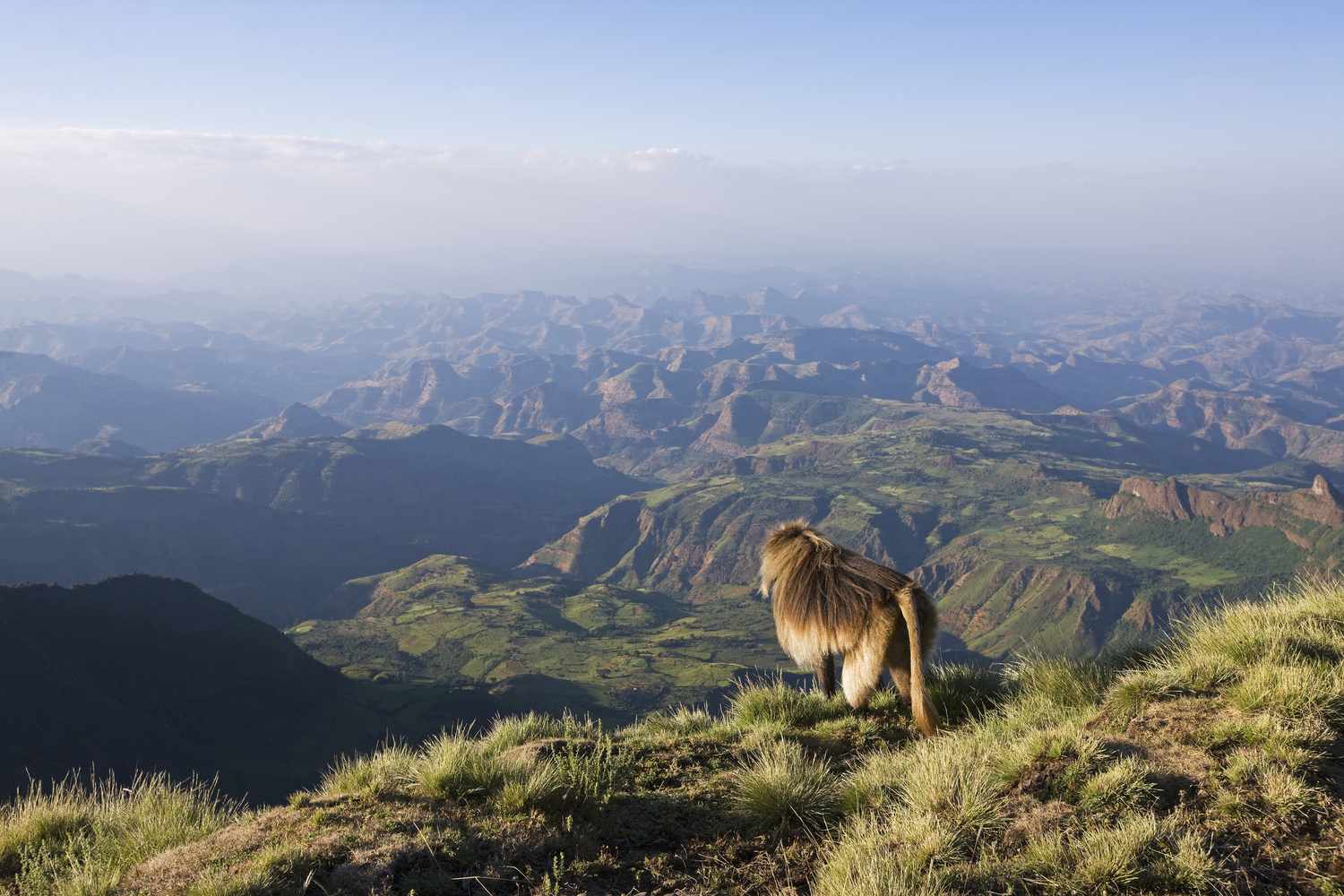 4-Day Simien Mountains Trekking Tour